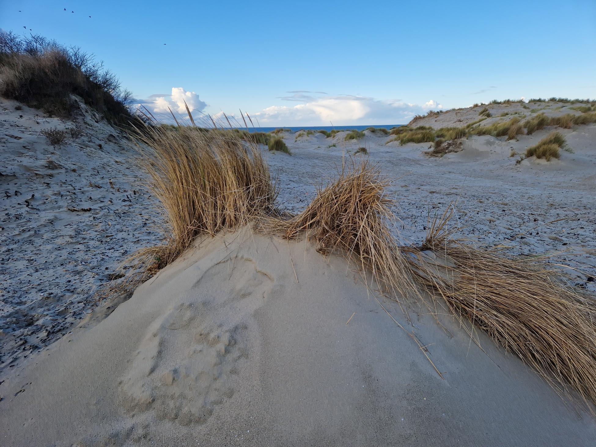 Trage Tocht Hoek van Holland