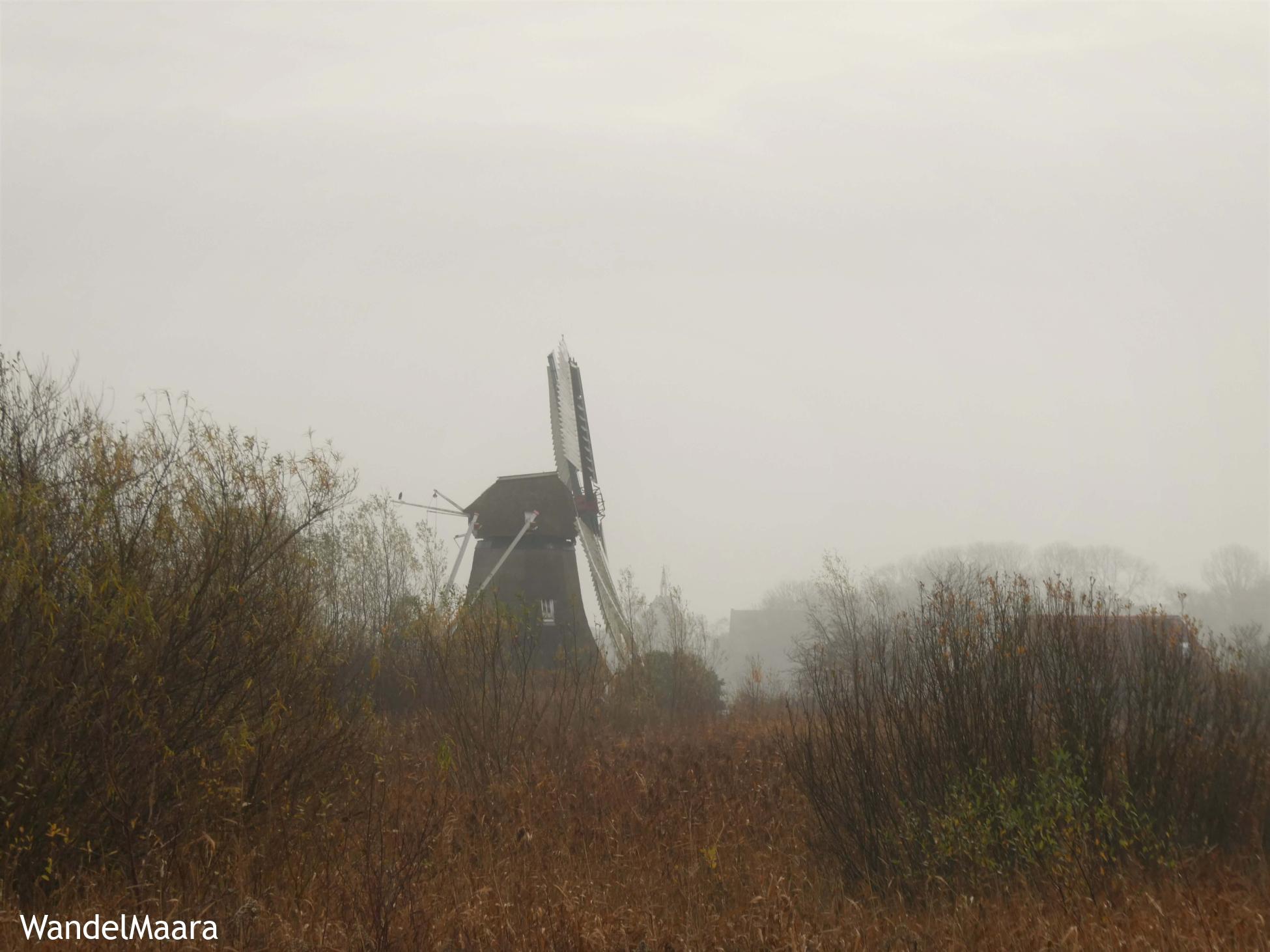 Knopenrondje Noorddijk