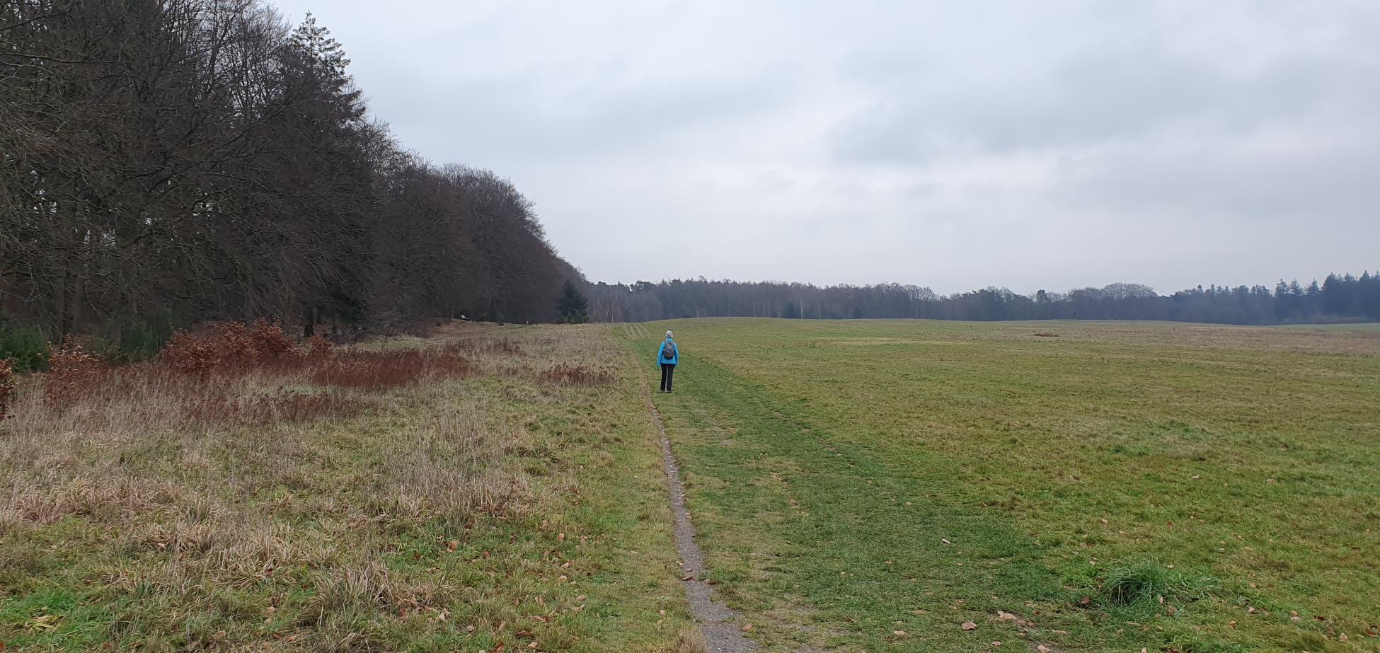 Kort en Prachtig Maarnse Berg