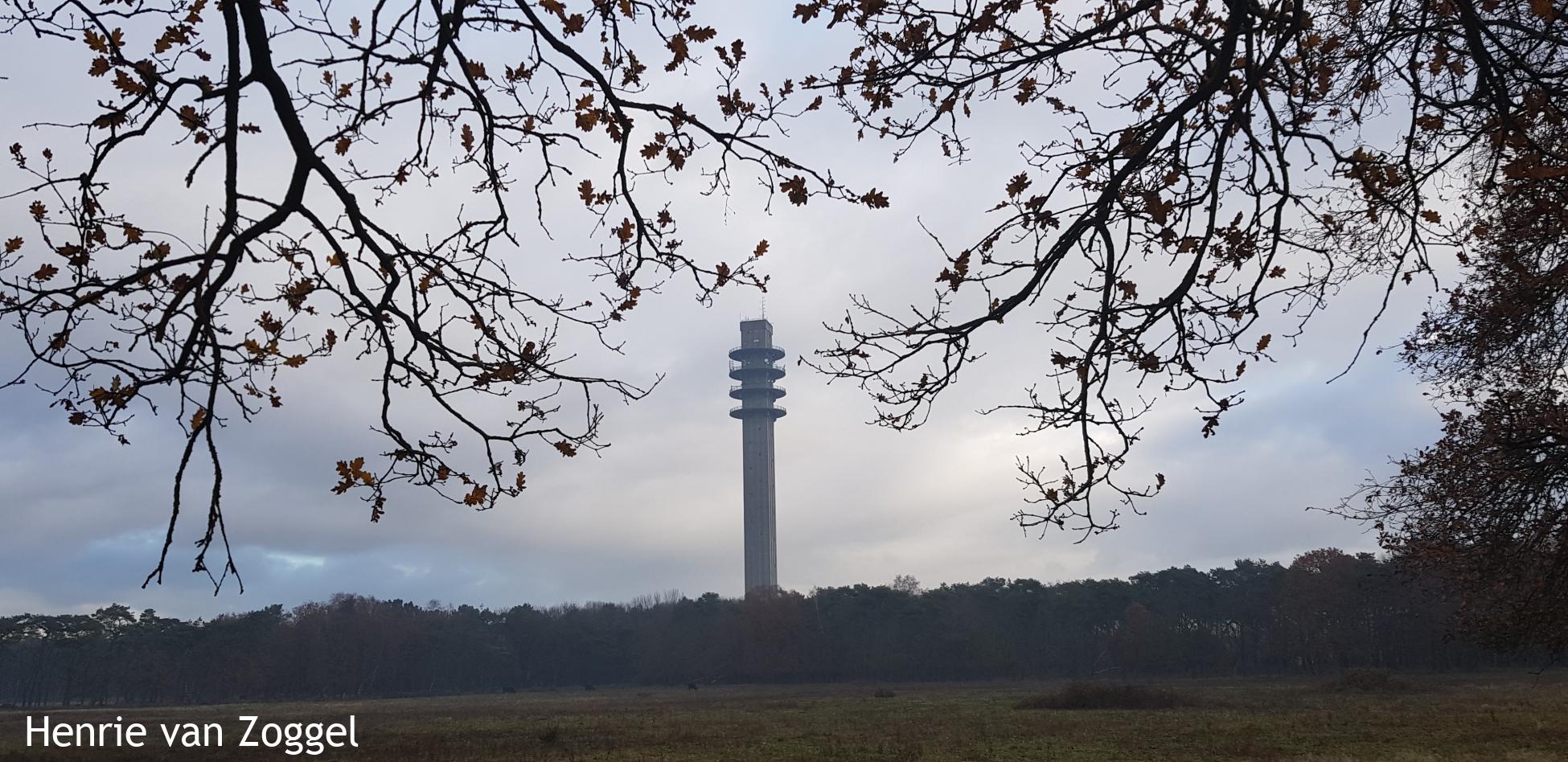 De Wortel van de Mortel