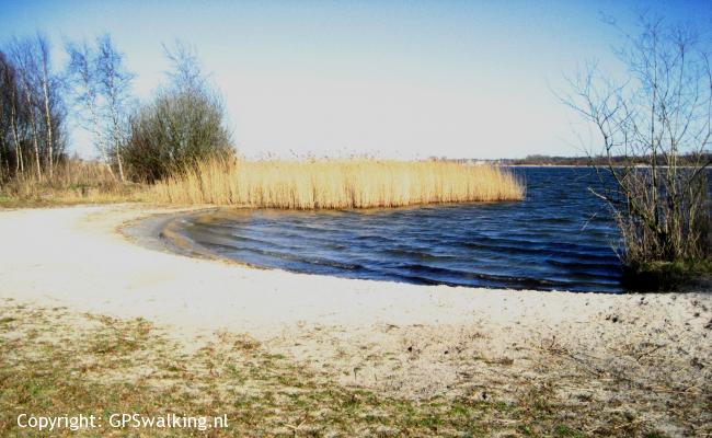 Zeewolde Bos Strand 