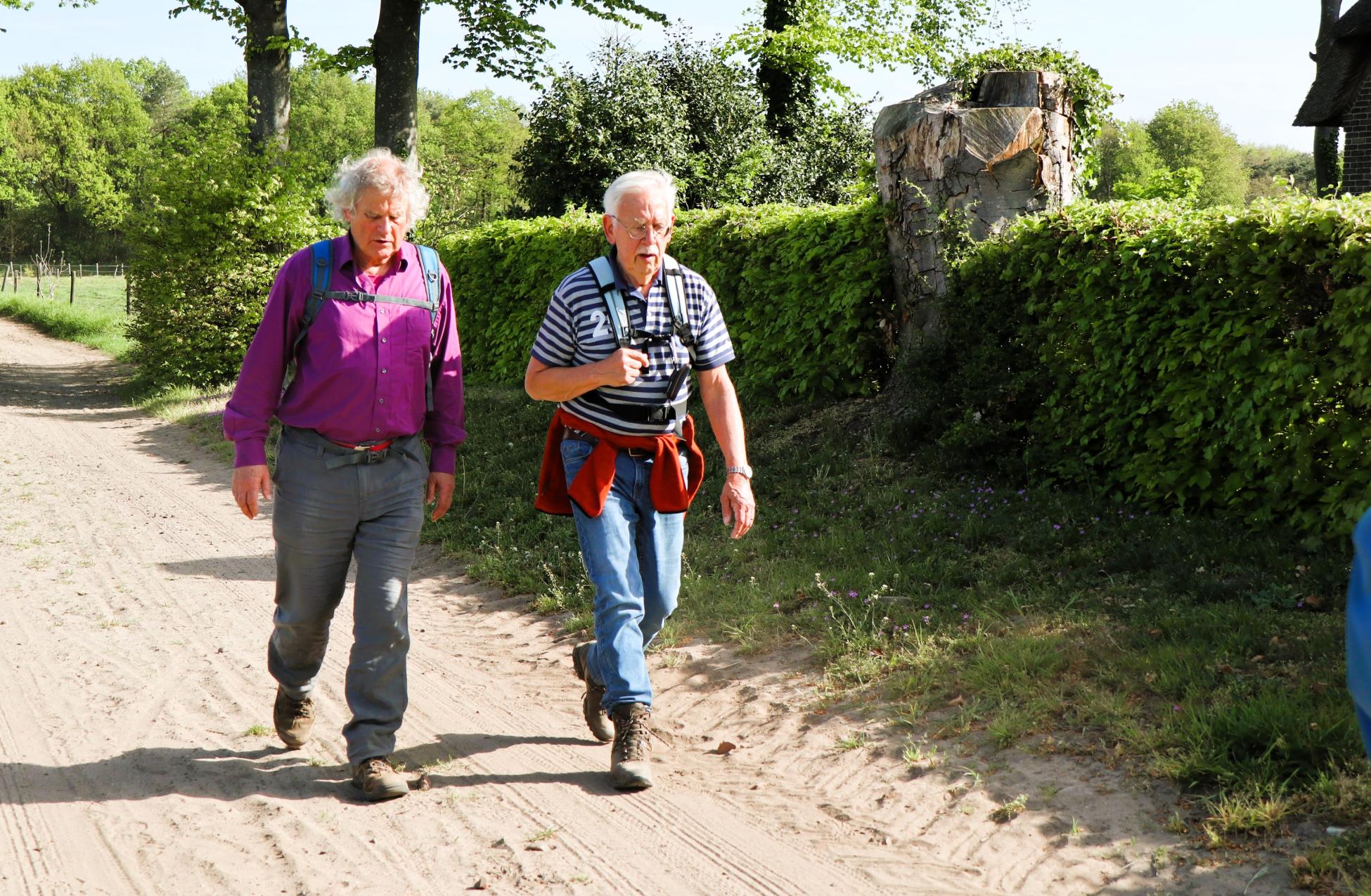 Rondje Vrachelse Heide