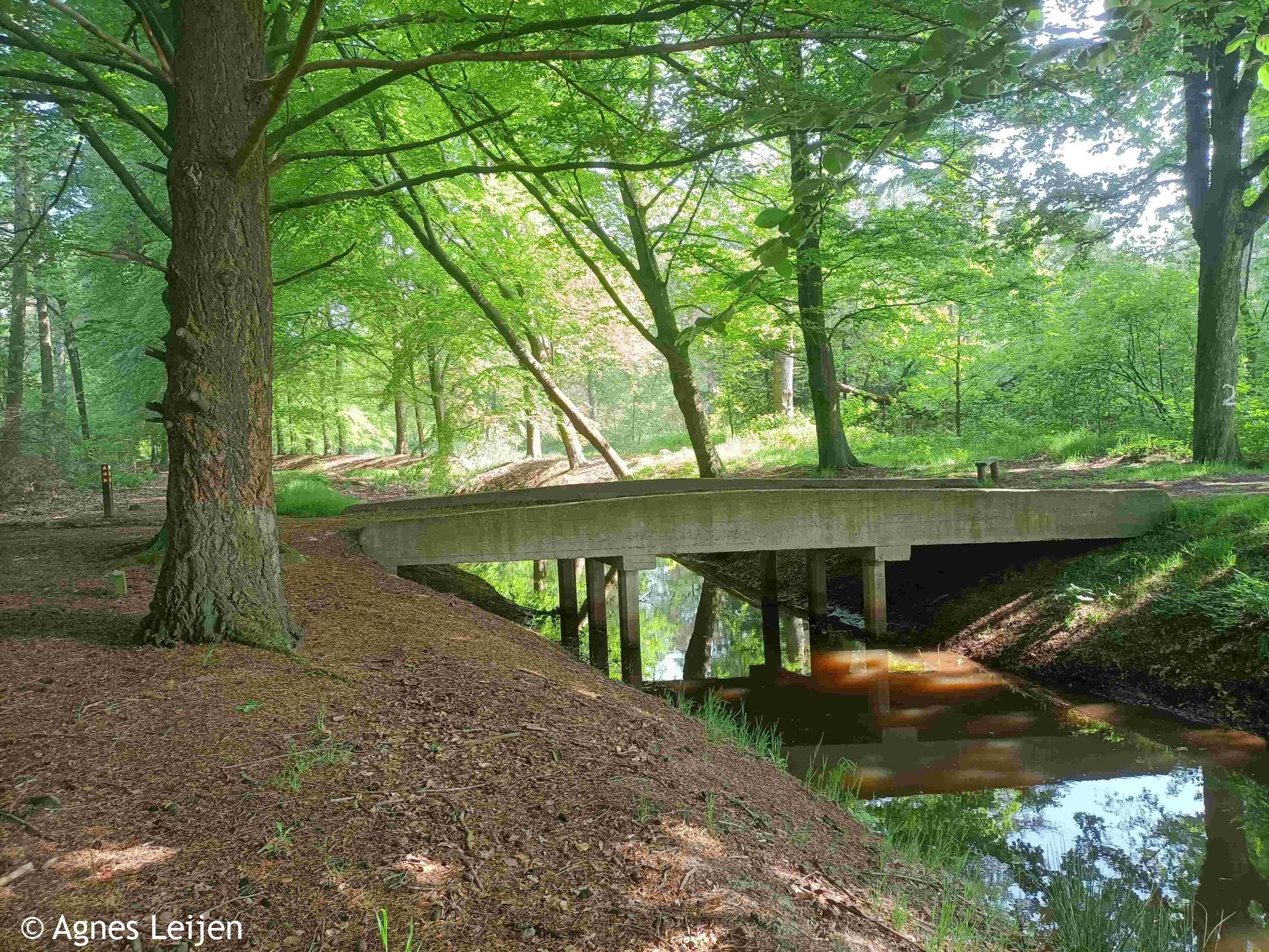 Wandelen langs de Peelrandbreuk (etappe 3/9)