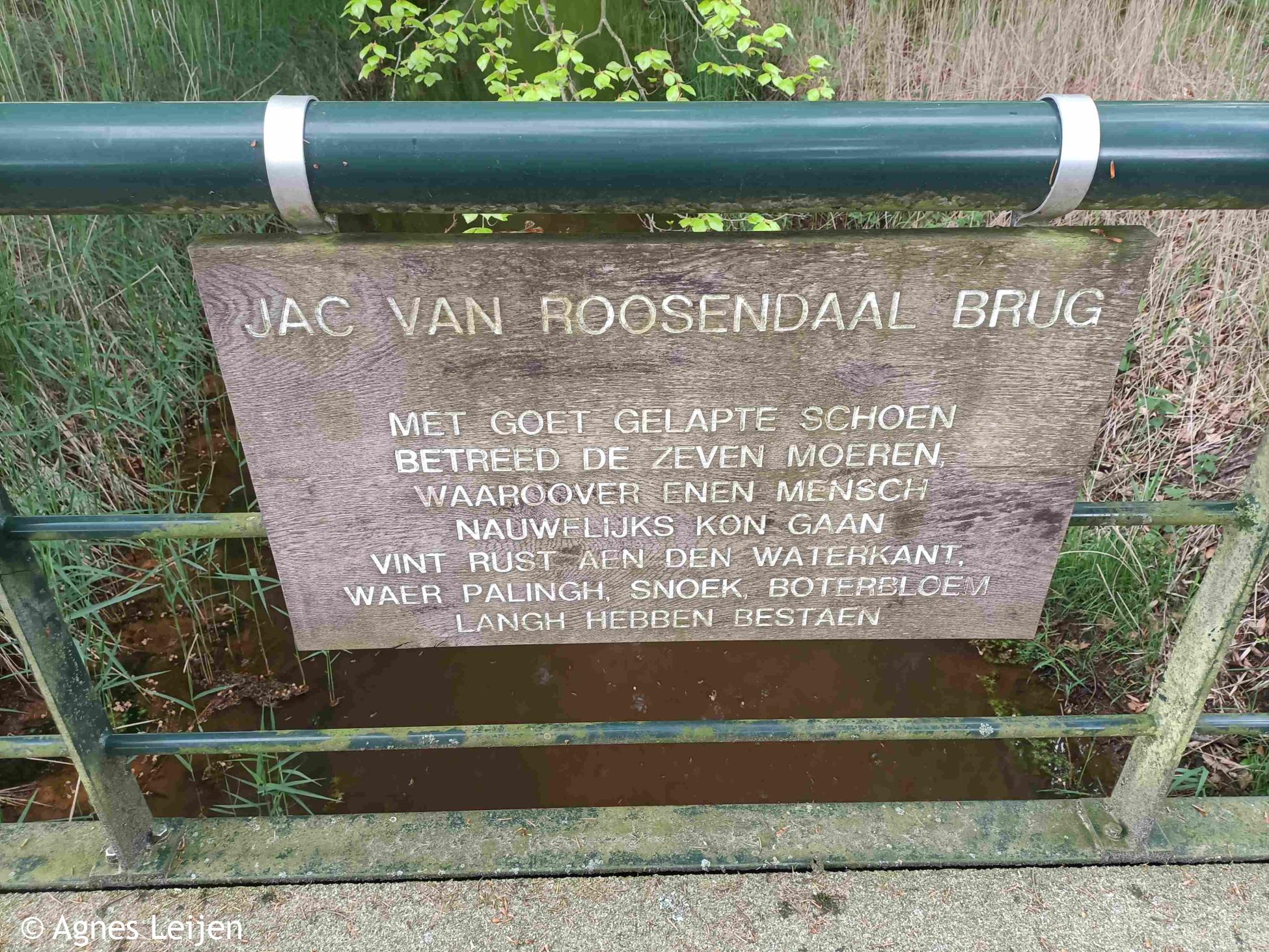 Jac van Roosendaal Brug in Waterbloem
