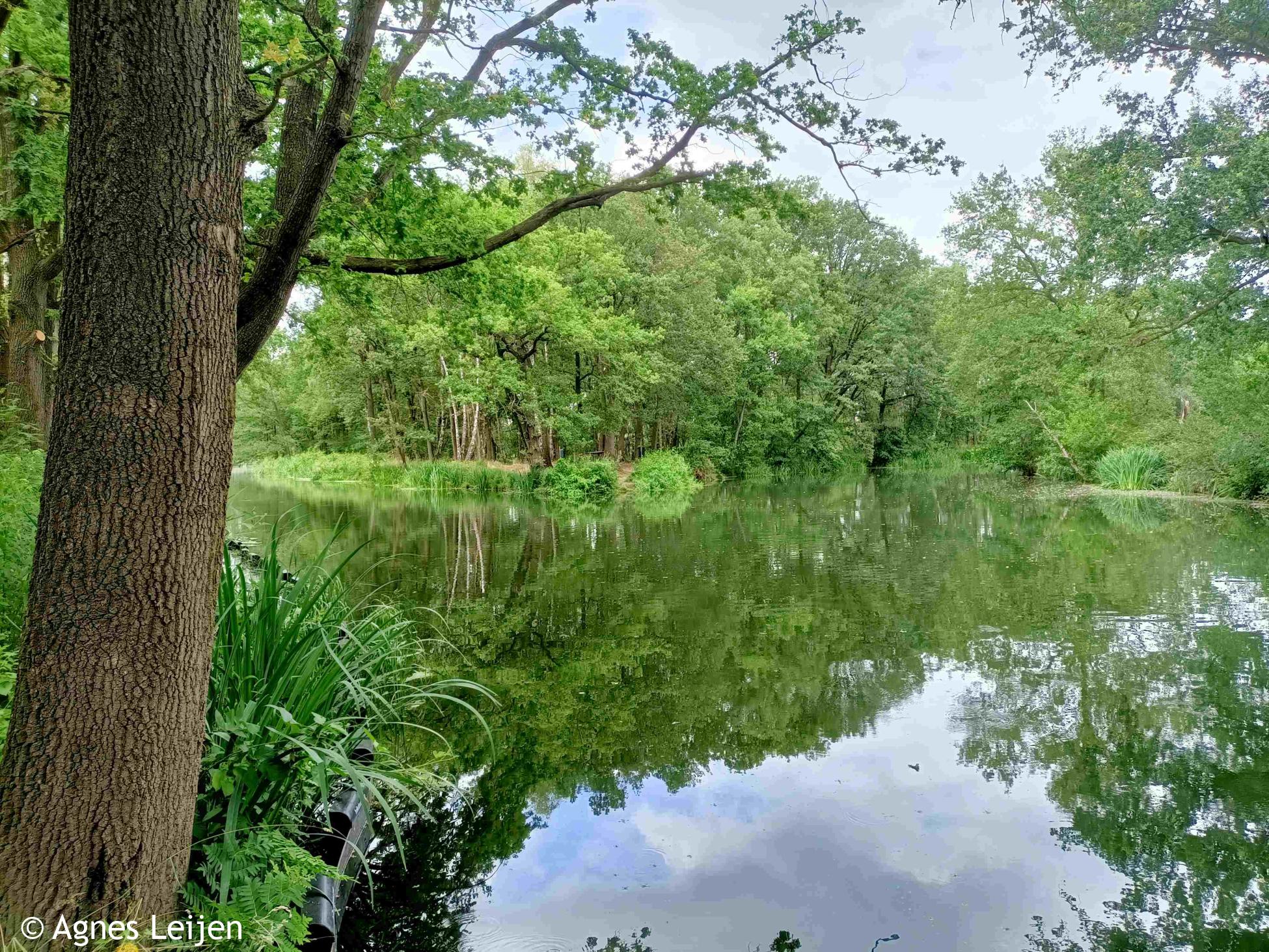 Wandelen langs de Peelrandbreuk (etappe 4/9)