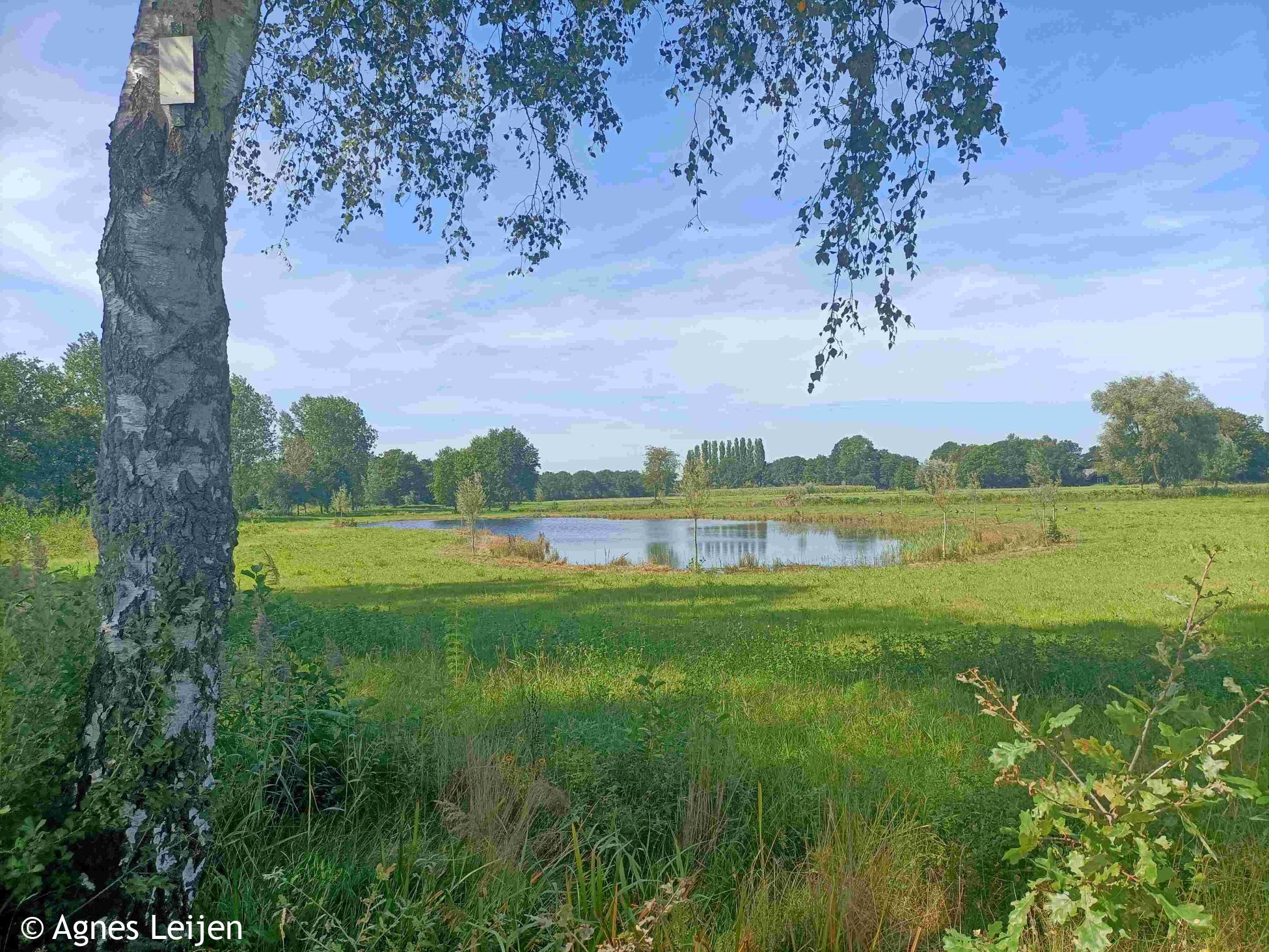 Wandelen langs de Peelrandbreuk (etappe 9/9)