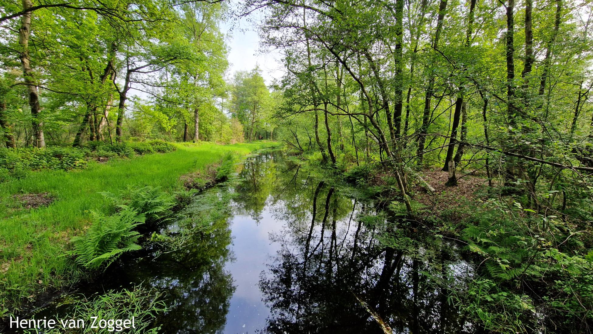 Turfvaart