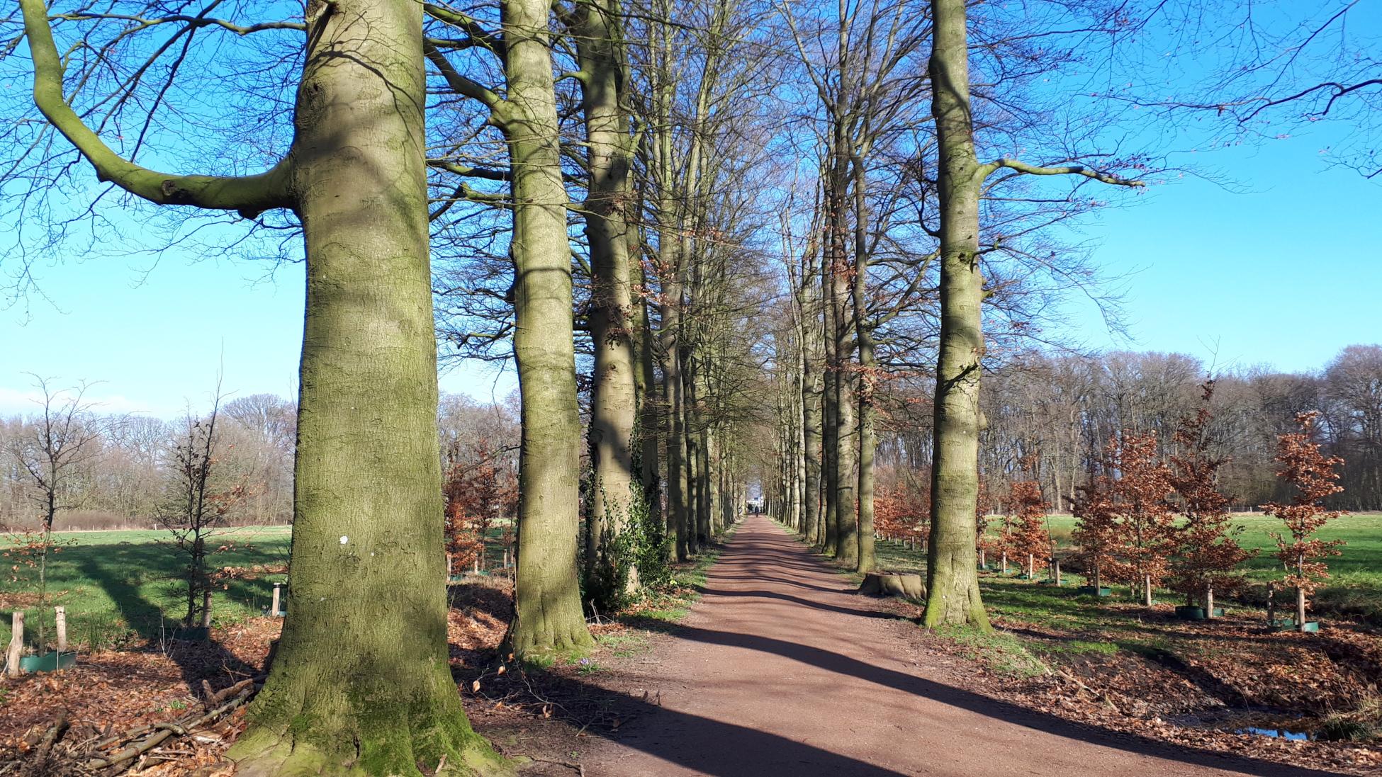 Kort en Prachtig Amersfoort Schothorst