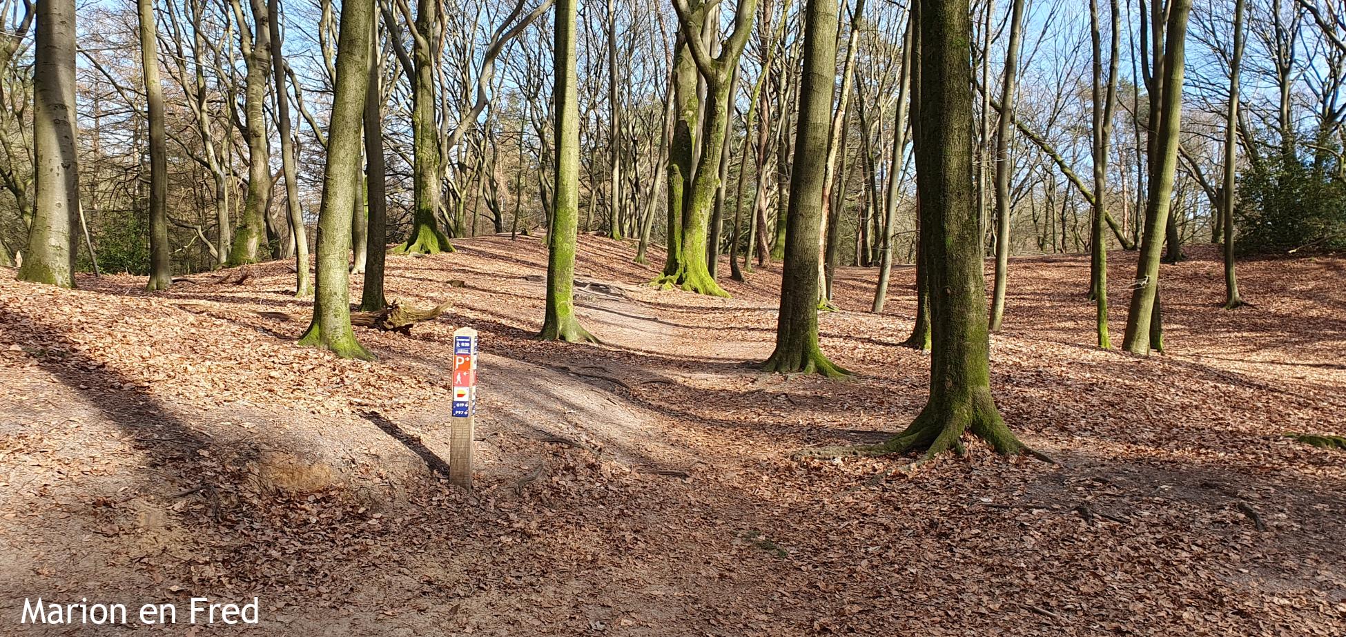 Knopenrondje Speulderbos