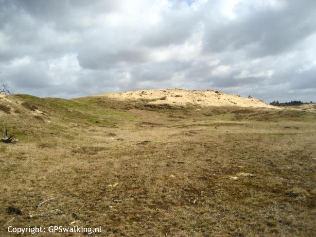 Aekingerzand GroteVeen Drents Friese Wold 