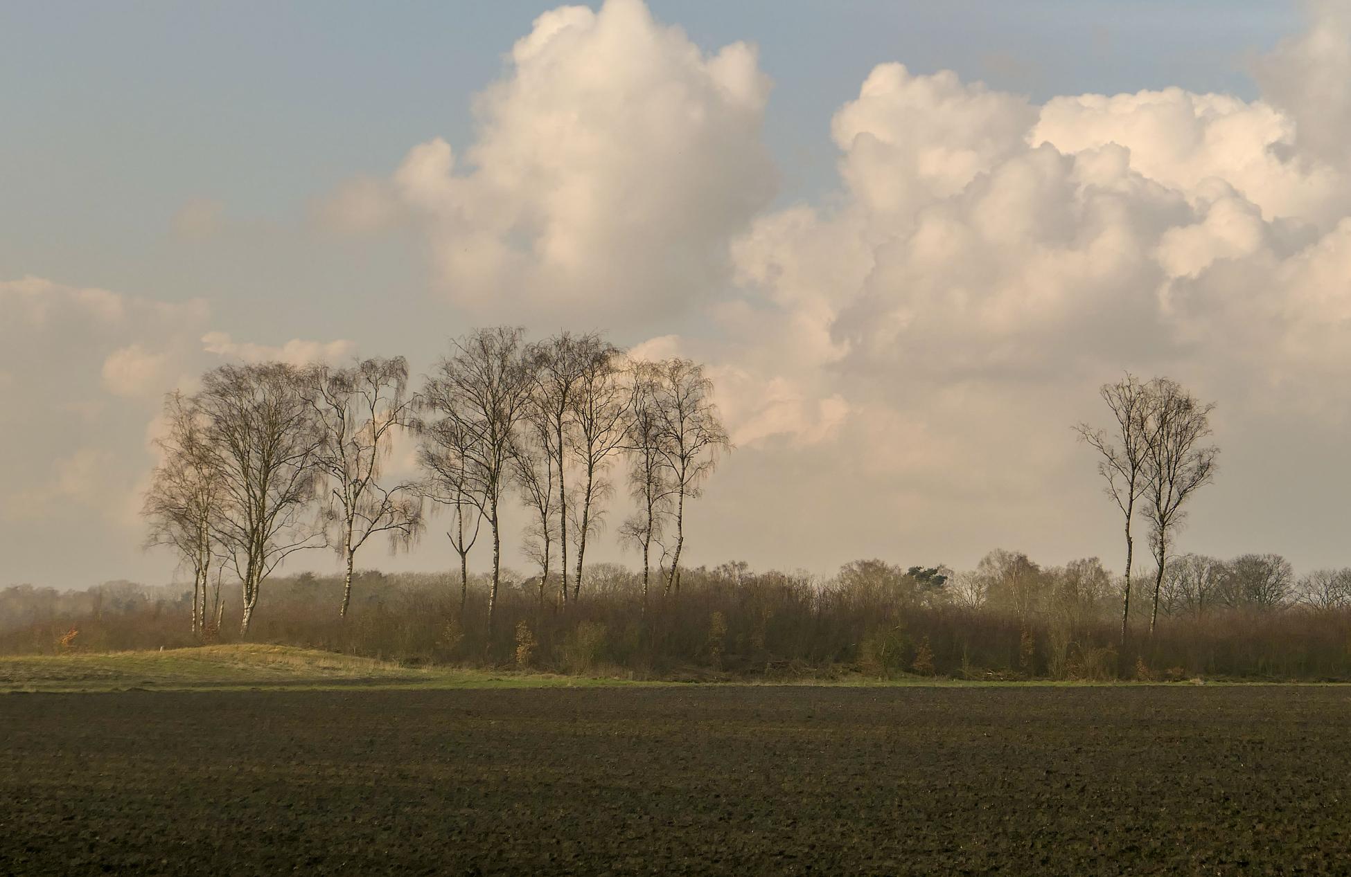 Veluws Rondje Schaarsbergen