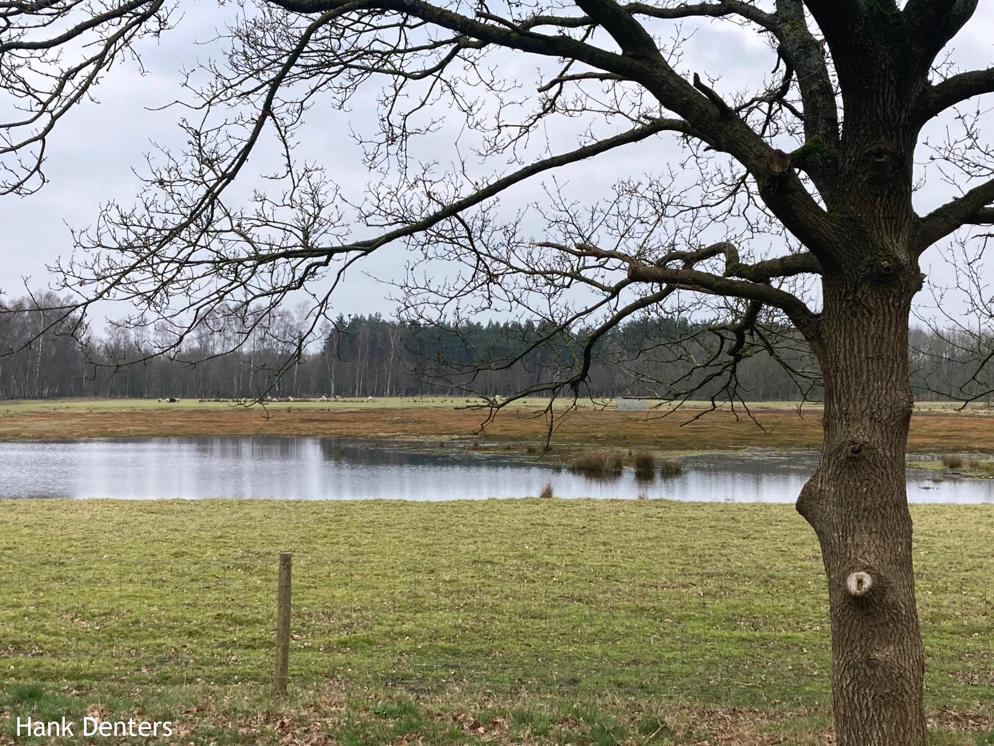 Knopenrondje Ketliker heide