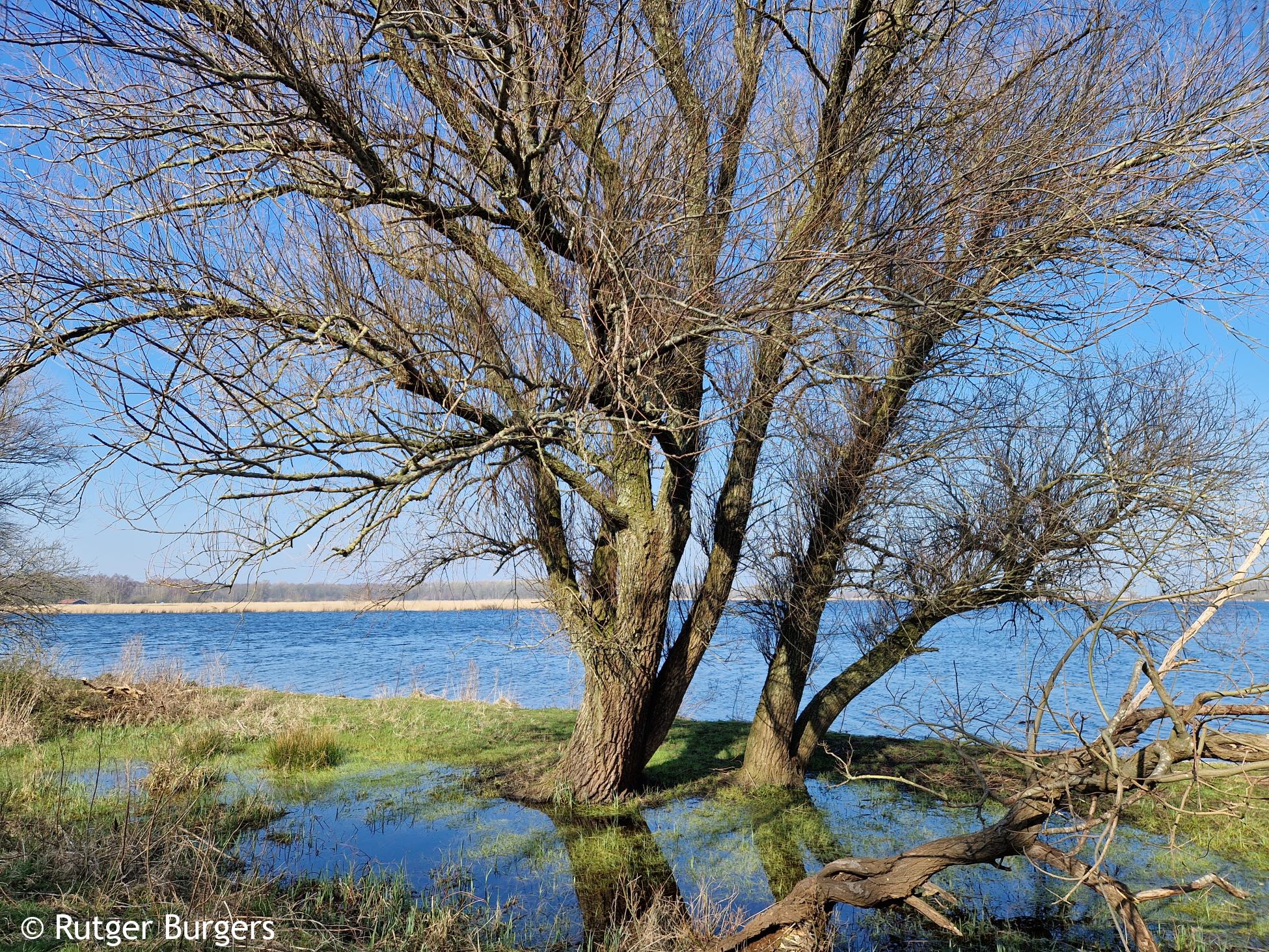 Knopenrondje Het Twiske