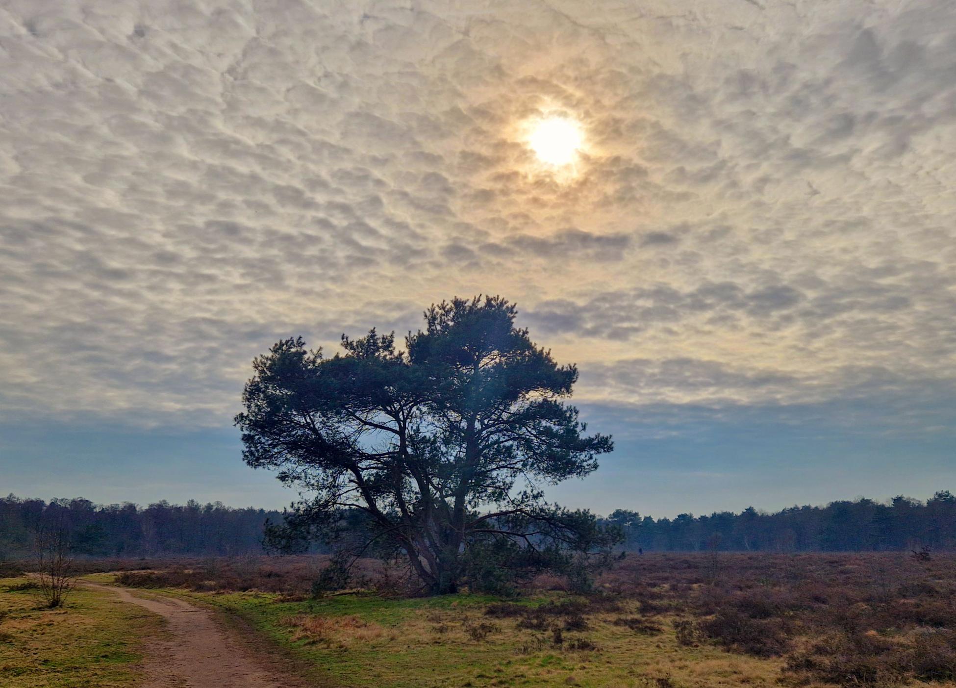 Veluws Rondje Groevenbeek