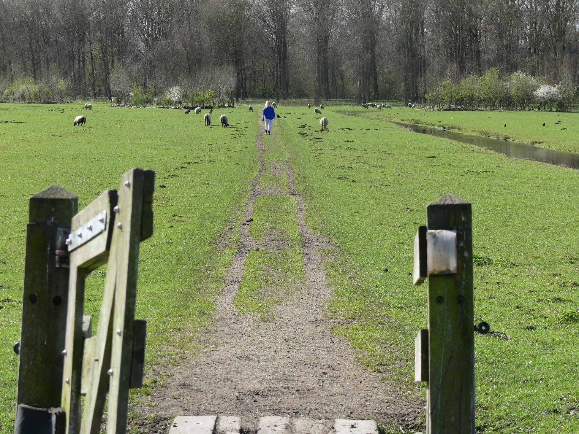 Trage Tocht Delfgauw