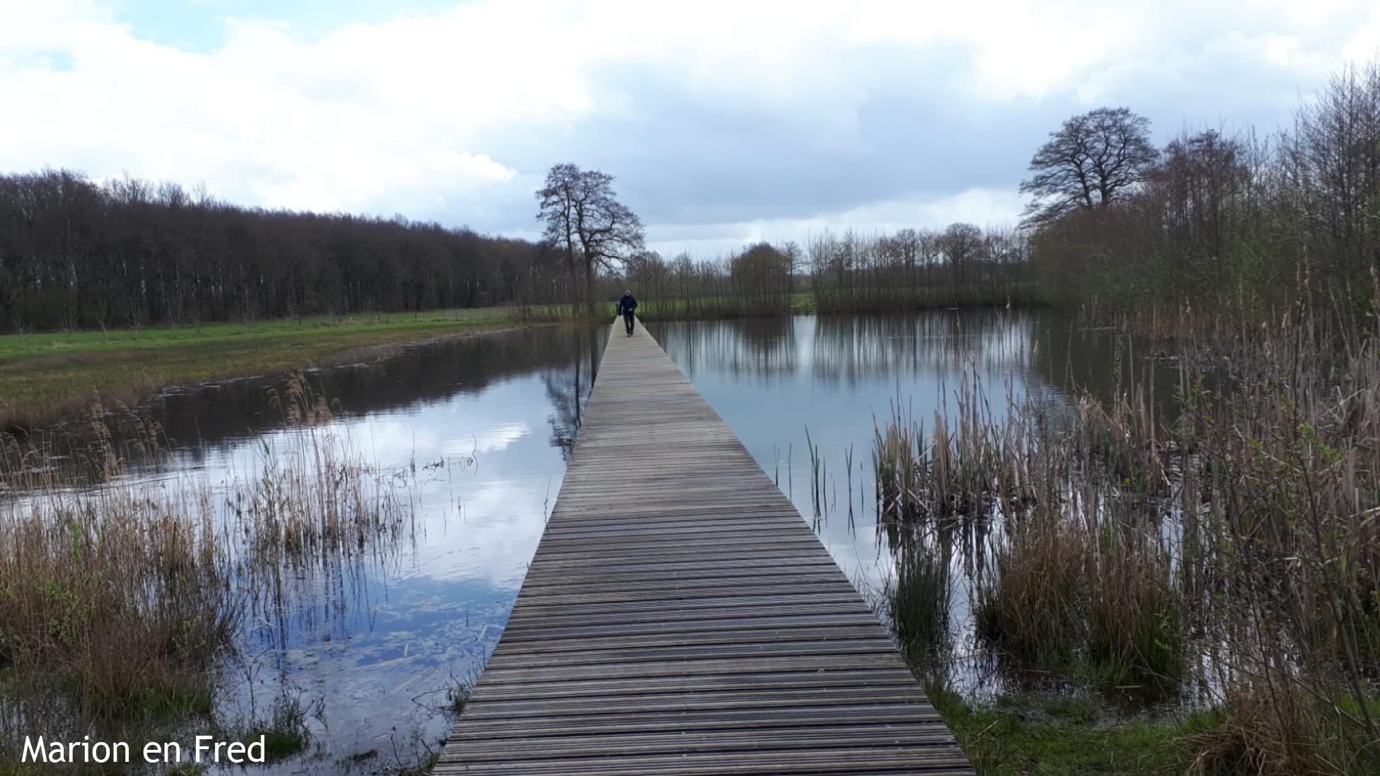 Beekbergerwoud