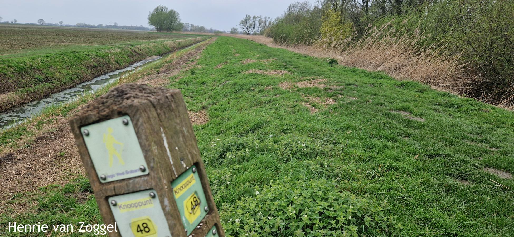Dijk langs Steenbergsche Vliet