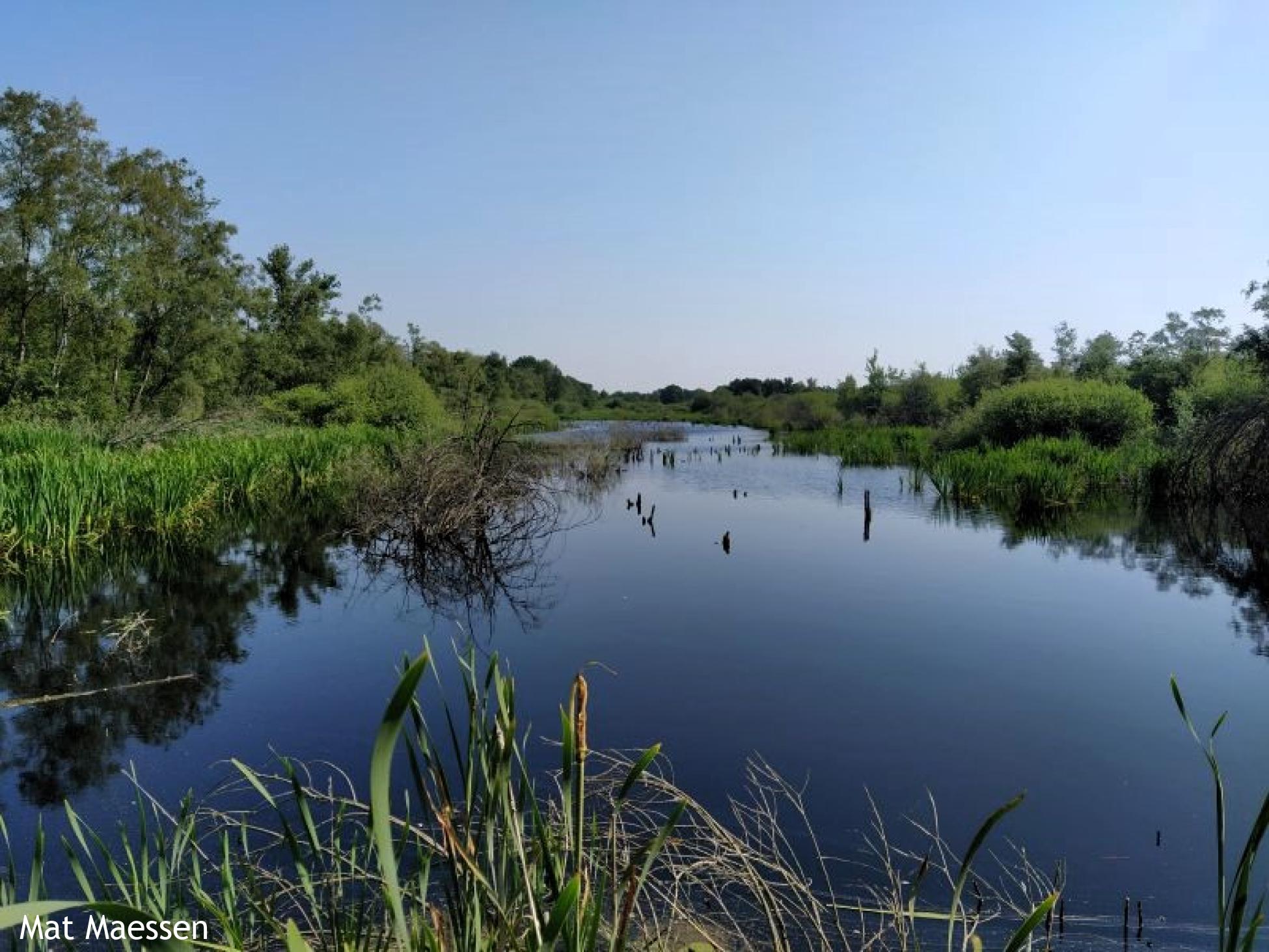 Knopenrondje Griendtsveen