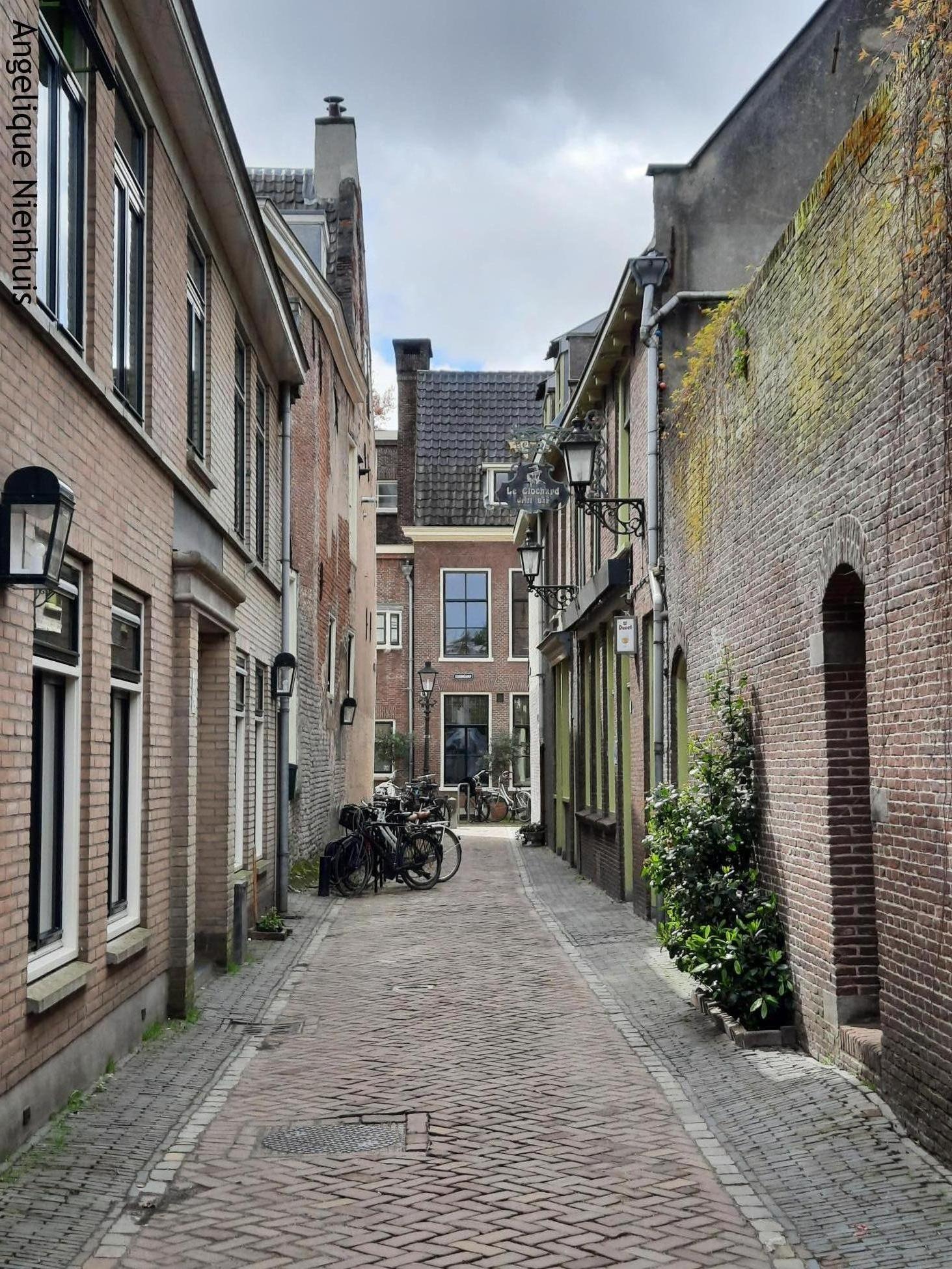 Ridderhofstraat