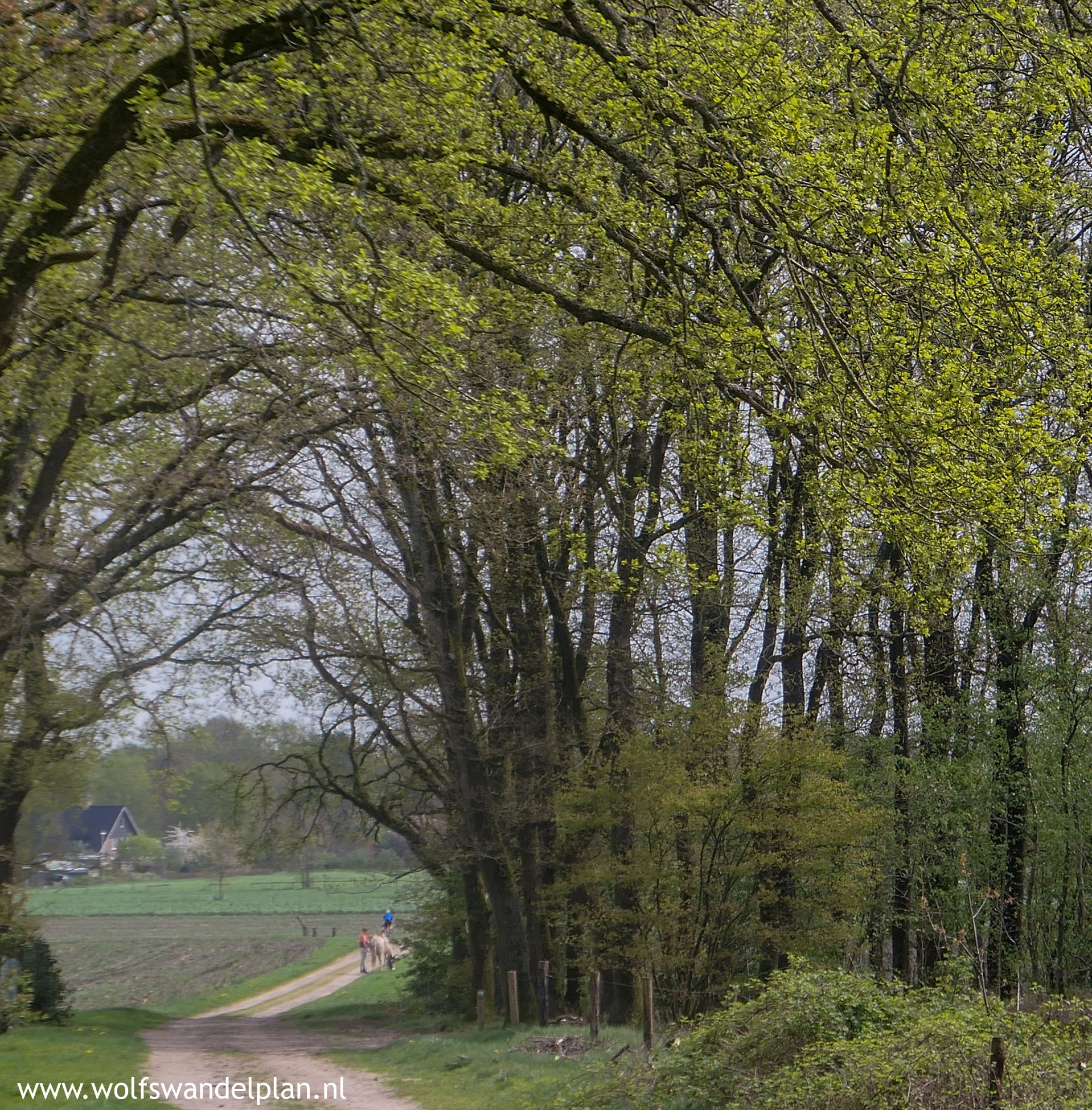 Veluwerandrondje Beekbergen