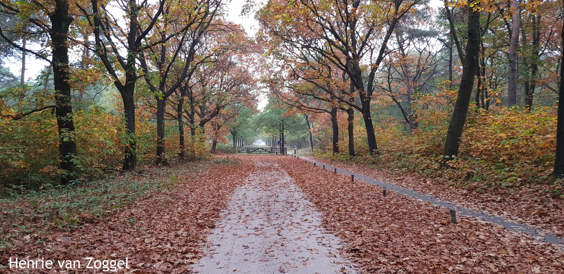 Knopenrondje Slabroek - Lange laan Zeelandsedreef Knopenrondje Slabroek - Lange laan Zeelandsedreef