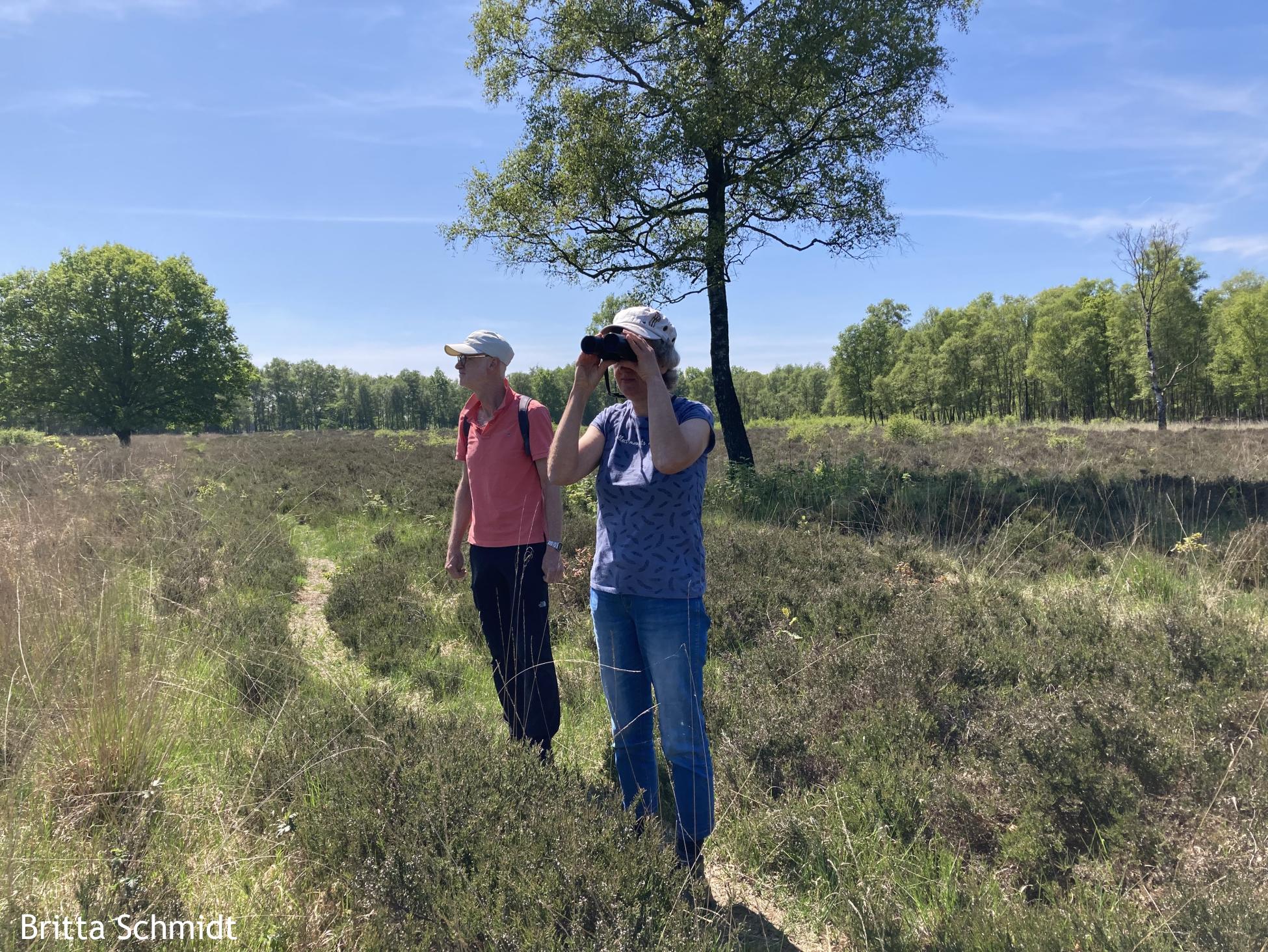 vogels spotten op de heide