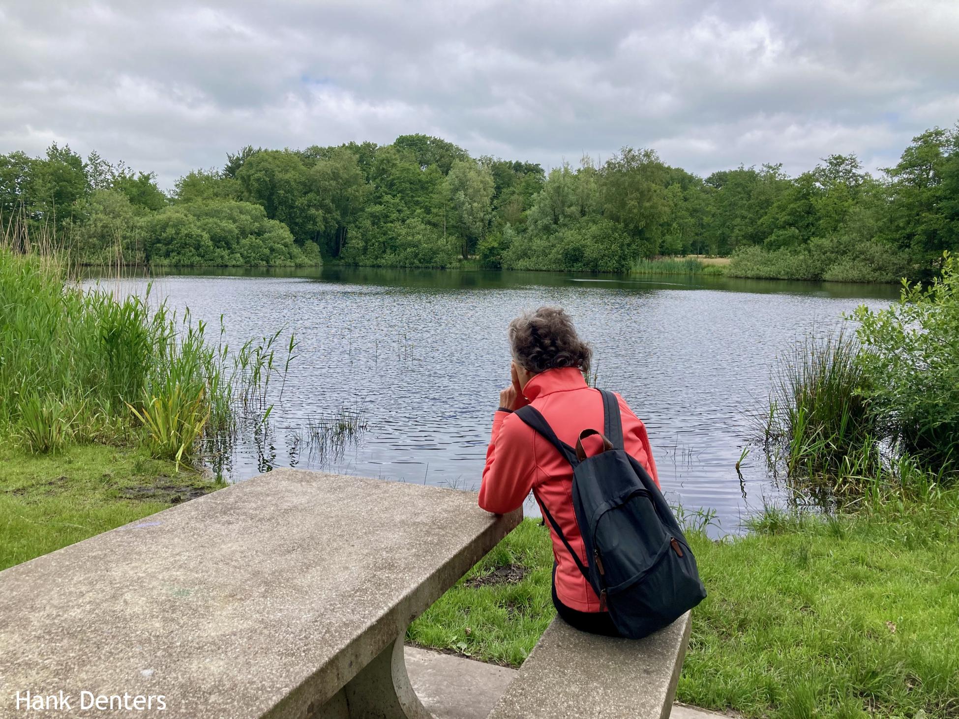 Pingo "Harmstrapoel"