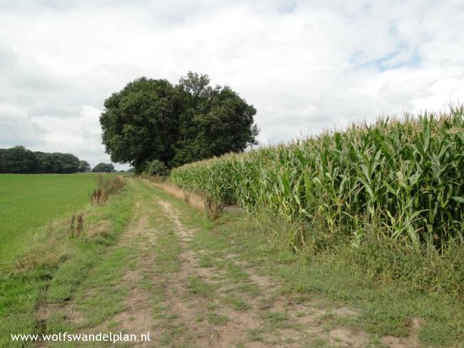 Trage Tocht Zelhem