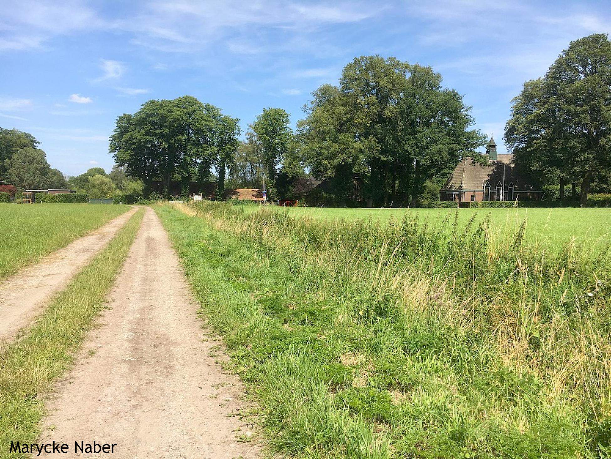 Naar de Twekkelerweg