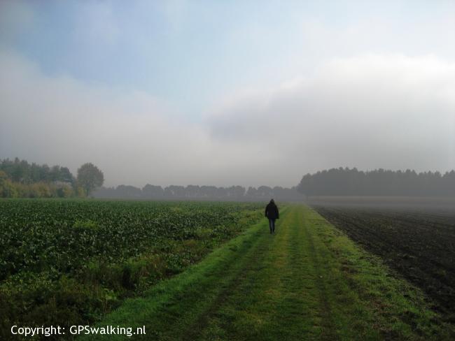 Castenrayse Vennen en Broek