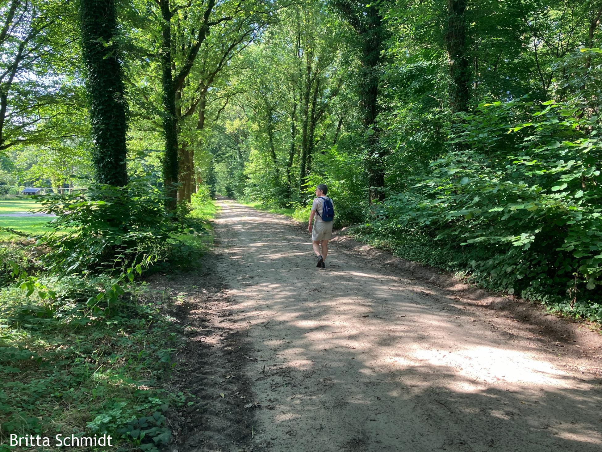 Eerst door het bos