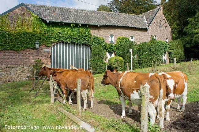 Groene Wissel Noorbeek