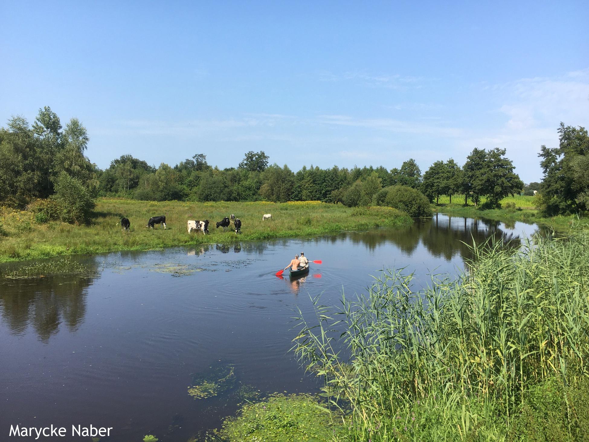 De Midden Regge 