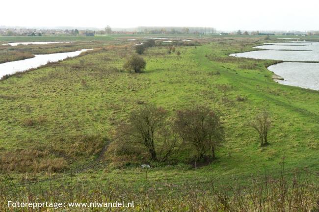 De oogappels van de Betuwe