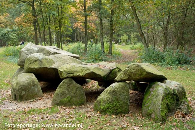 Groene Wissel Gasselte