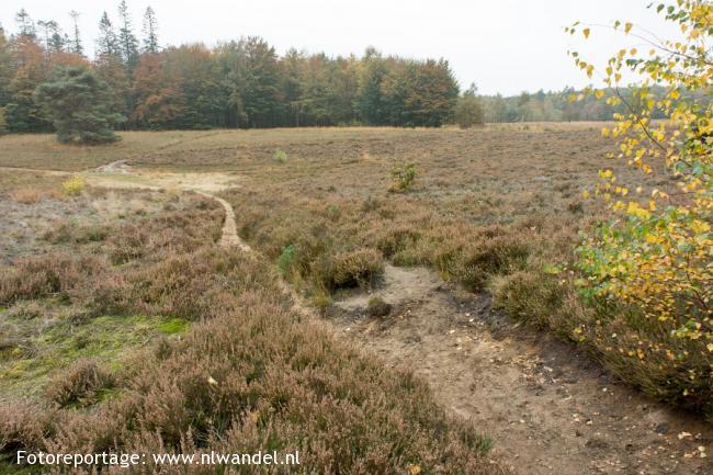 Boswachterij Exloo, gletsjerkuil