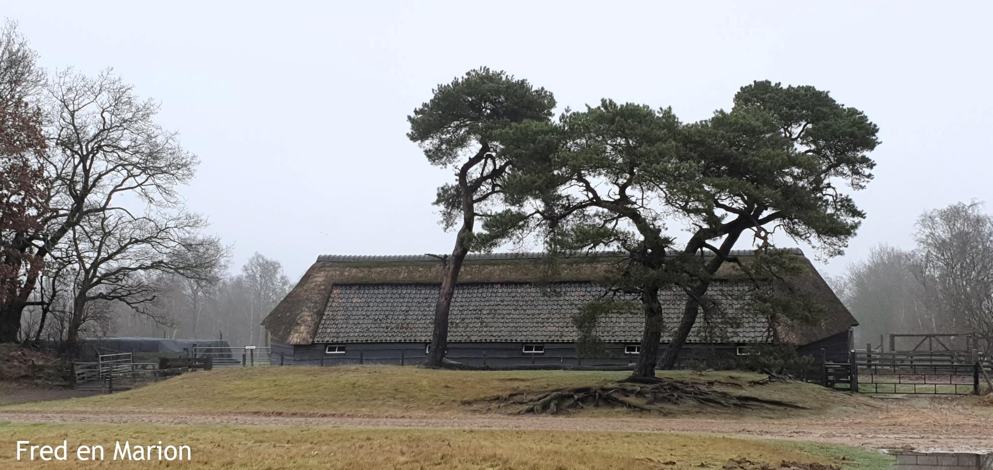 De Ginkel 