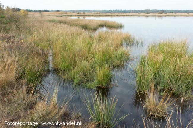 Groene Wissel Ruinen