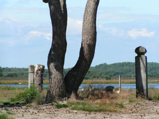 Oude grenspaal de Hoenderboom.