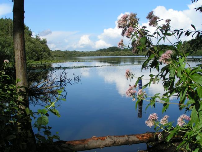 Het natuurgebied de Vilt.