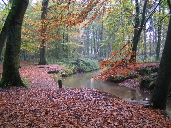 De Oostrumse Beek.
