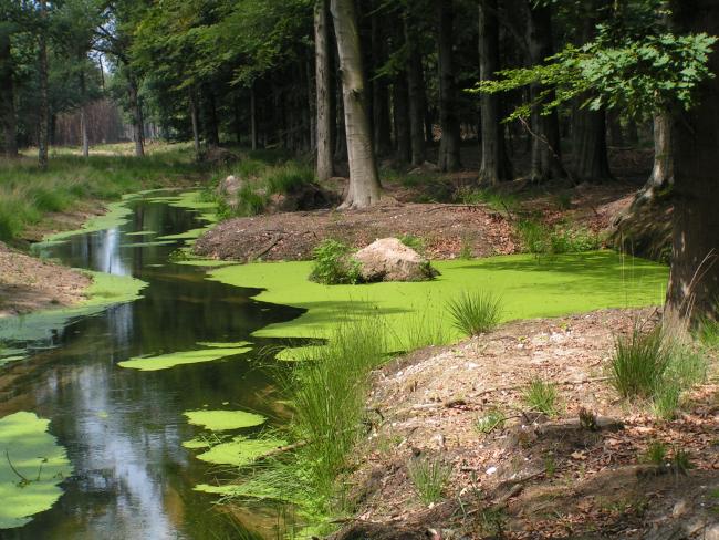 De Peelhorst-route